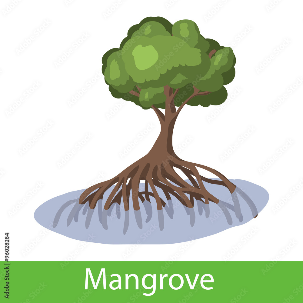 Mangrove Cartoon Tree Stock ベクター Adobe Stock Mangrove Cartoon Tree Stock ベクター Adobe Stock