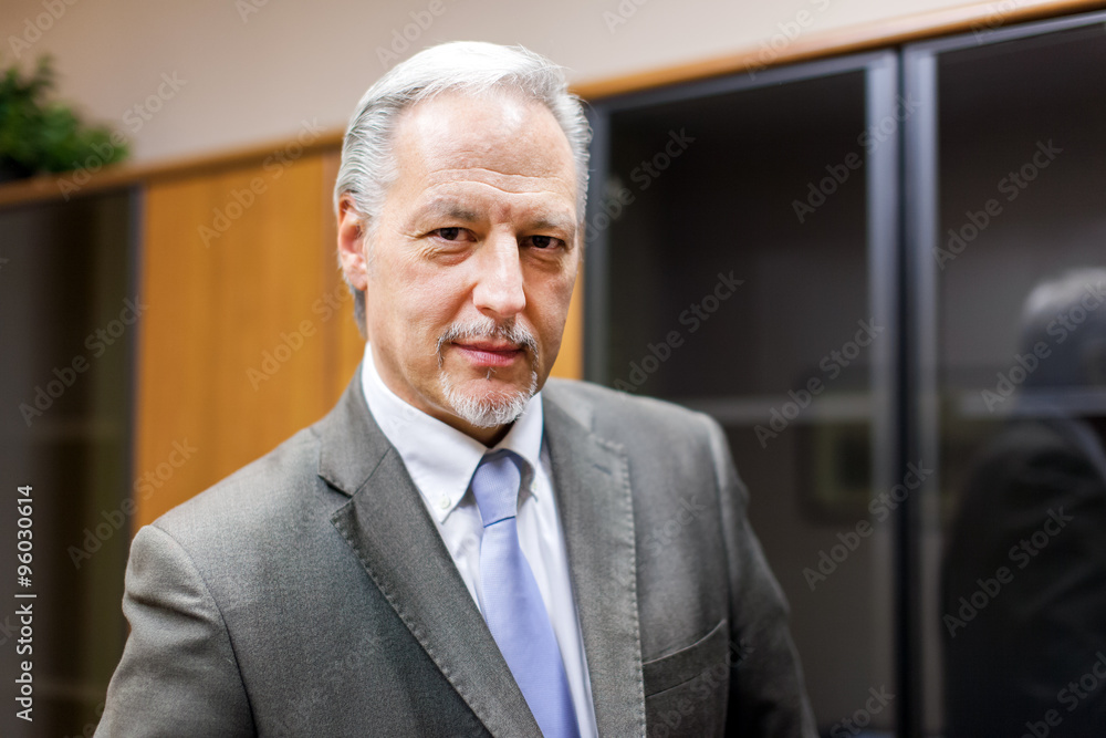 Naklejka premium Mature businessman in his office