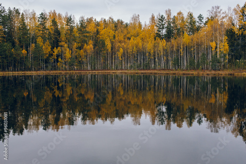 Colorful autumn lakeside treeline with reflection