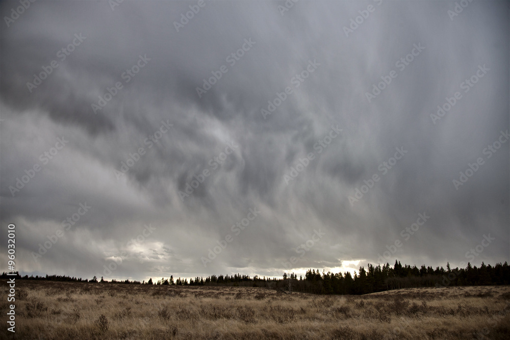 Fototapeta premium Cypress Hills Alberta Saskatchewan