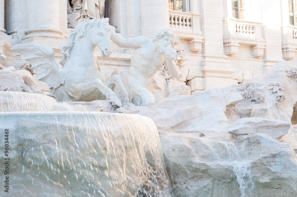 Fototapeta premium trevi's fountain