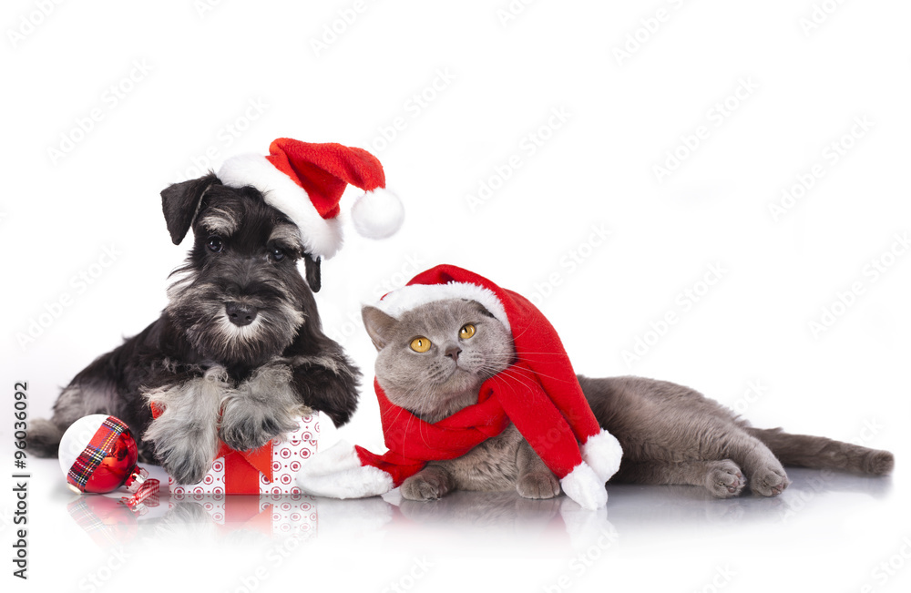 Naklejka premium dog and cat and kitens wearing a santa hat