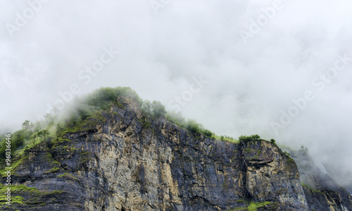 Trees among clouds on top of rock wall alpine summer landscape