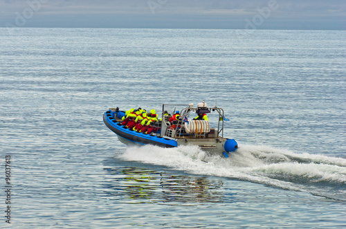 Whale watching tour from fast zodiac boat near Husavik, Iceland