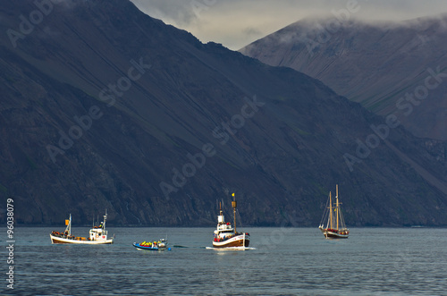 Vászonkép Whale watching tours at Husavik bay area, north Iceland