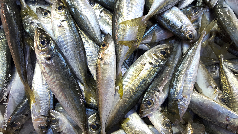 Obraz premium Fresh fish