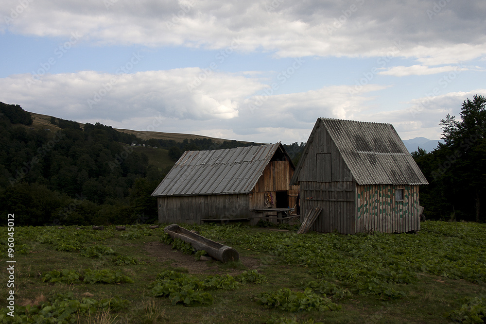 Obraz premium Карпаты