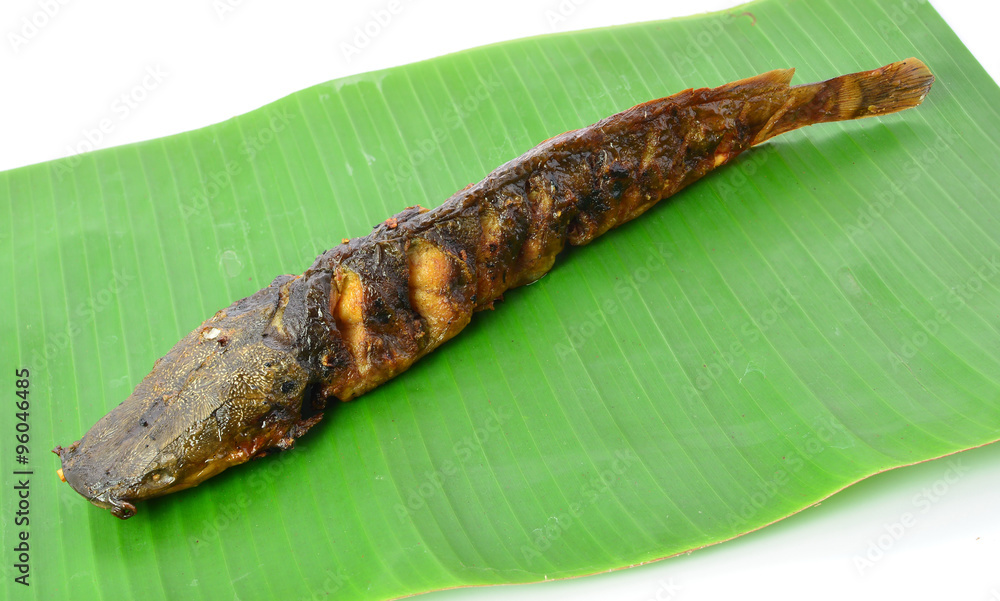 Fototapeta premium Grilled catfish on banana leaf background