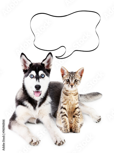 Dog and kitten with empty cloud bubble above heads, isolated on white