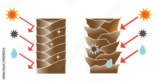 健康な髪と痛んだ髪