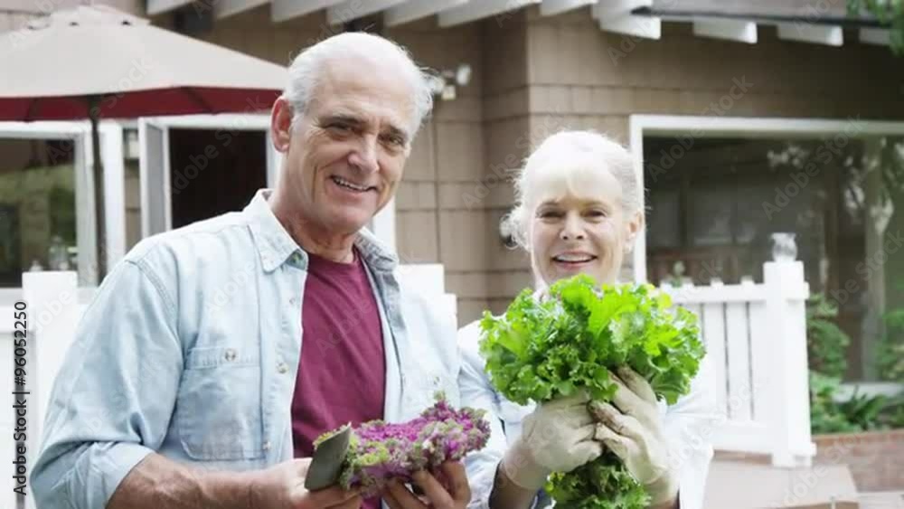 Mature couple smiling with vegetables in garden Mature couple smiling with vegetables in garden