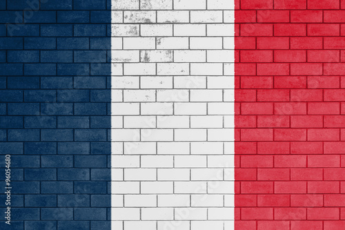 Flag of france painted.