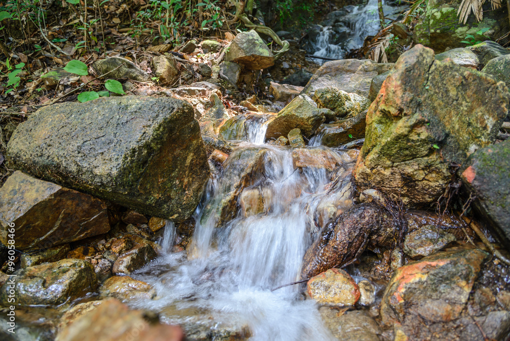 Stream in forest, Nature rill flow
