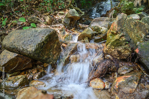 Stream in forest, Nature rill flow