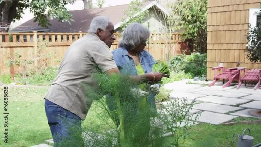 Senior African couple gardening in yard Senior African couple gardening in yard