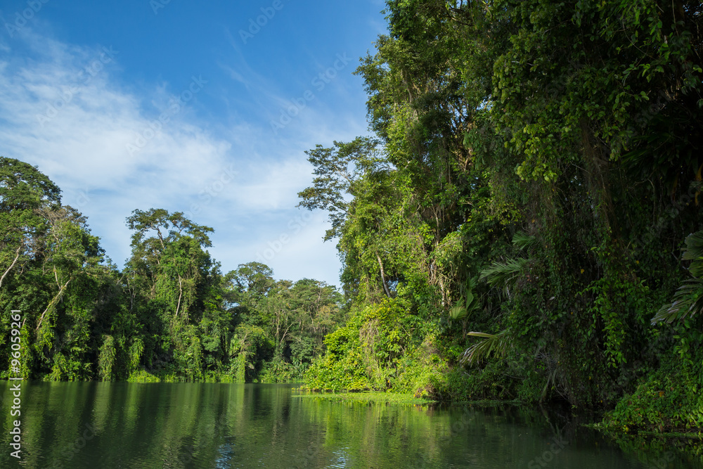 Flussfahrt im Dschungel in Costa Rica