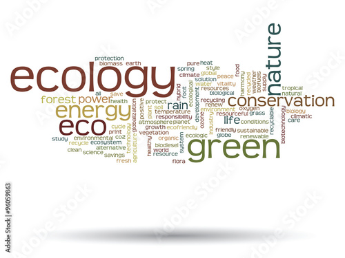Vector conceptual ecology word cloud isolated