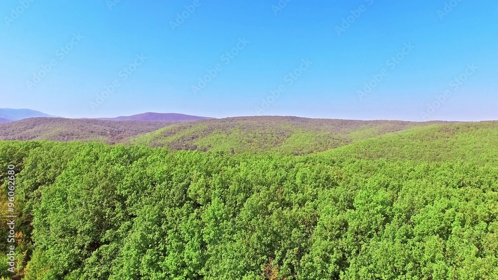 Flying over the mountains with green trees. Flying over the mountains with green trees.
