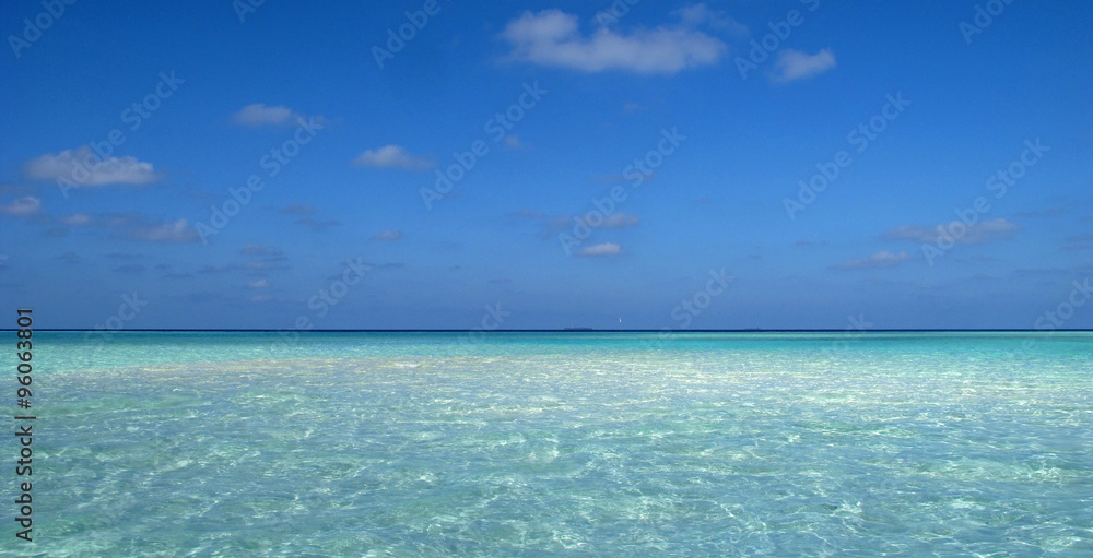 Maldives reef Maldives reef