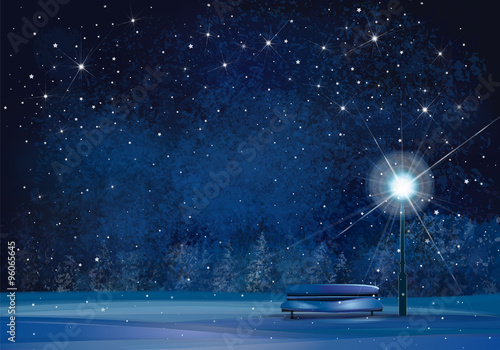 Vector winter wonderland night background.