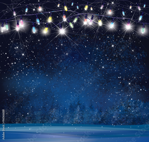 Vector Christmas lights on  night wonderland background.