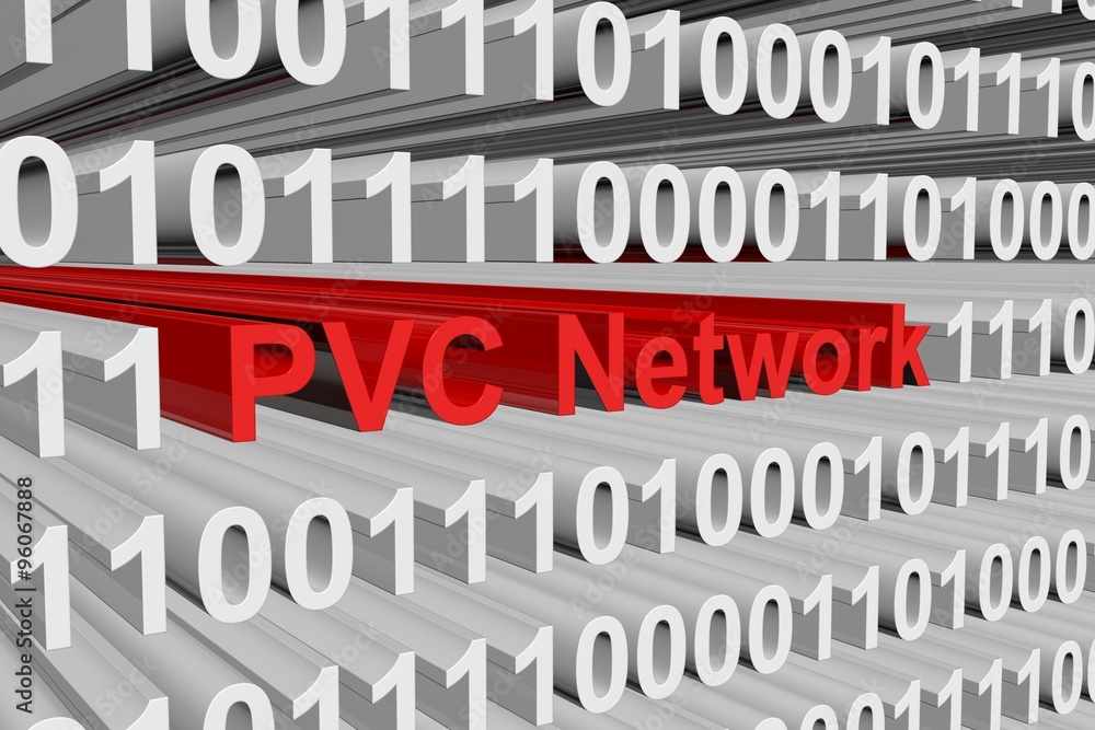 PVC Network is represented as a binary code