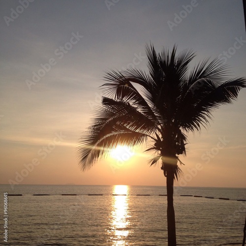 the sun and a palm tree