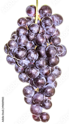 grappe de raisin muscat  sur fond blanc photo