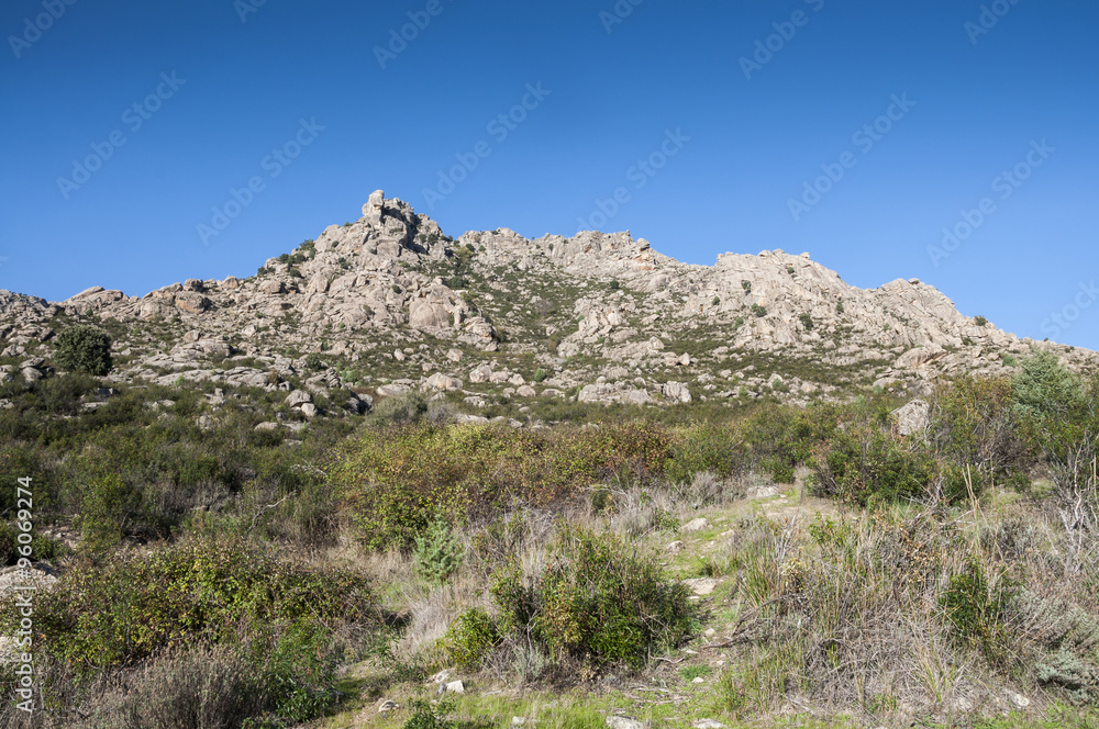 Mediterranean vegetation in Sierra de los Porrones, Guadarrama Mountains, Madrid, Spain.