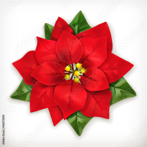 Poinsettia, Christmas Star vector icon