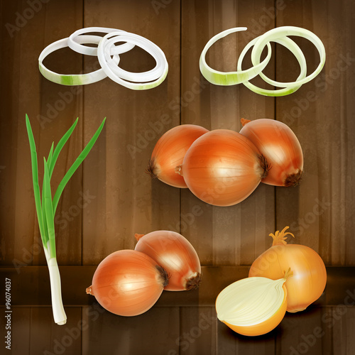 Onion set, vector icons on wooden board