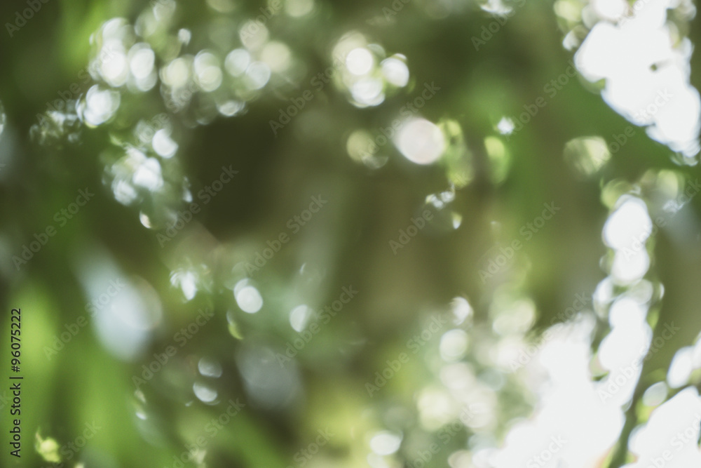 Fototapeta premium abstract natural blur background, defocused leaves, bokeh