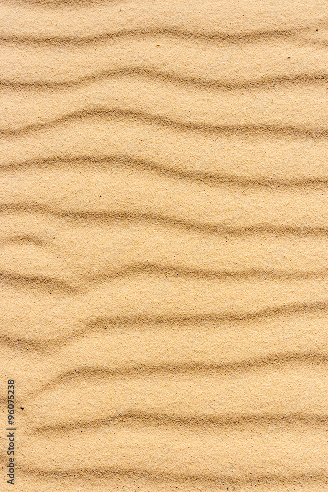 background of the Sinai desert sand background of the Sinai desert sand