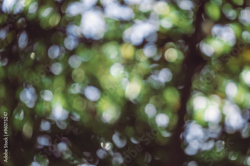 abstract natural blur background, defocused leaves, bokeh