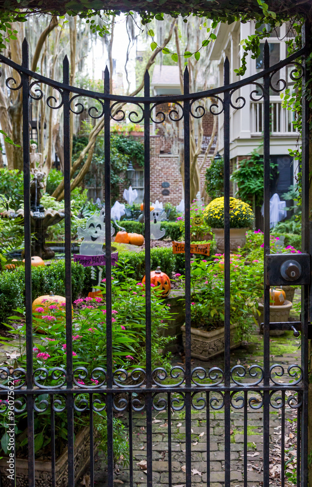Halloween Garden Halloween Garden