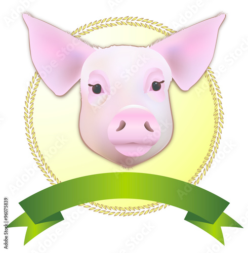 Schönstes Schwein