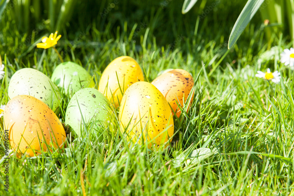 Fototapeta premium colored Easter eggs hidden in flowers and grass