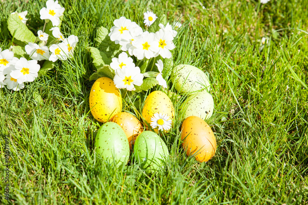 Fototapeta premium colored Easter eggs hidden in flowers and grass
