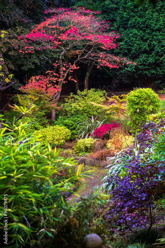 Colorful Beautiful English Garden during Fall Season