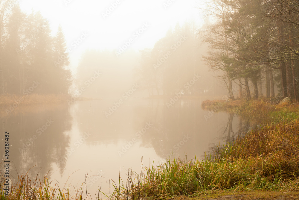 Misty morning at the river in the countryside Misty morning at the river in the countryside