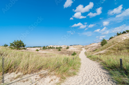 Sand Dunes And Grass Vegetation Background