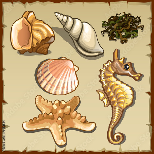 Decor of seashells and seaweed, six icons