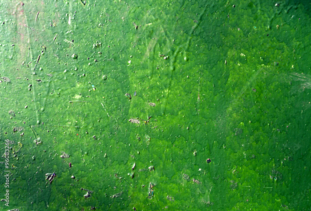 Green painted wall. Green painted wall.