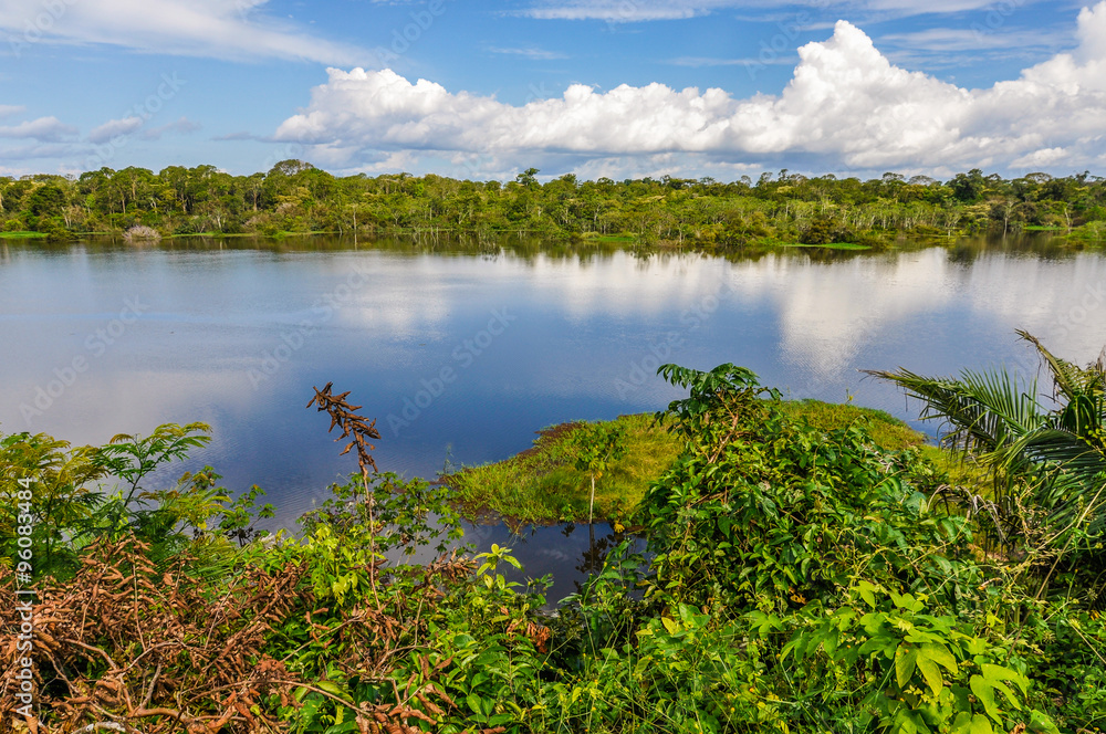 View of the lake in the Amazon Rainforest, Manaos, Brazil