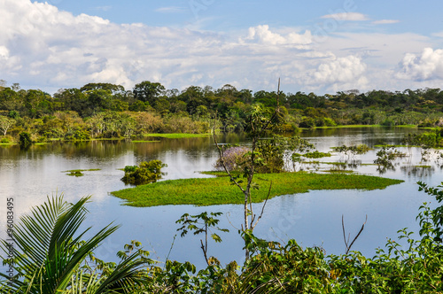 View of the lake in the Amazon Rainforest, Manaos, Brazil