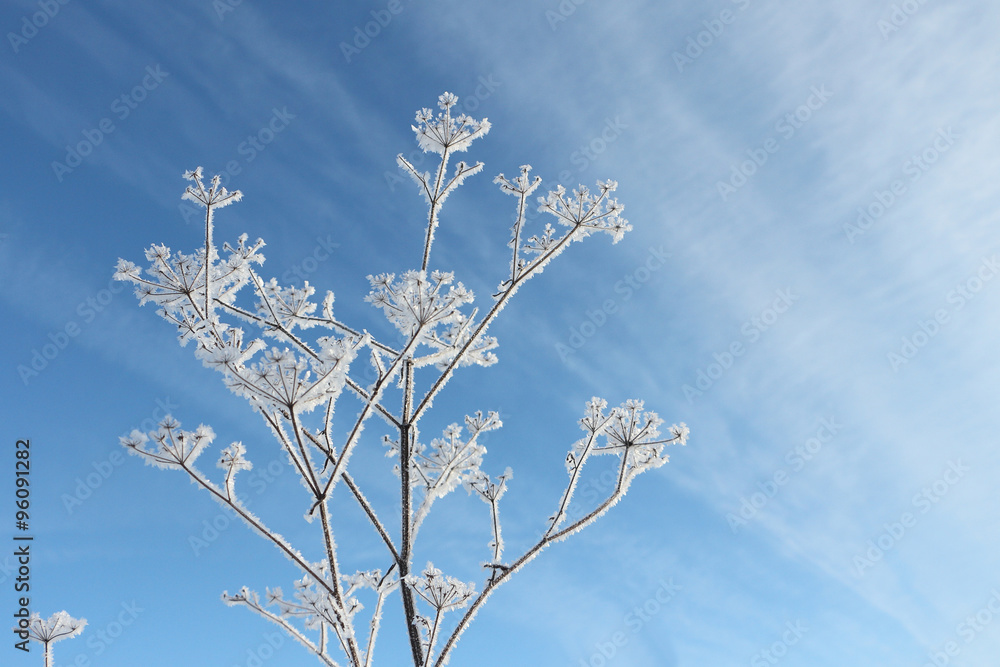 Snow-covered blade against the blue sky in the winter Snow-covered blade against the blue sky in the winter