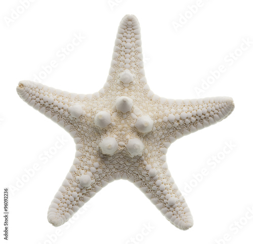 Starfish isolated on white