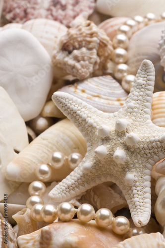 seashell background with pearls