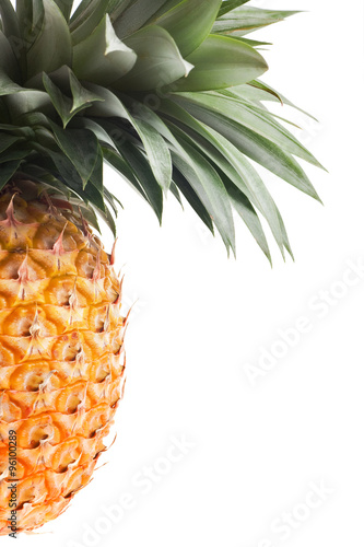 fresh Florida pineapple isolated on white