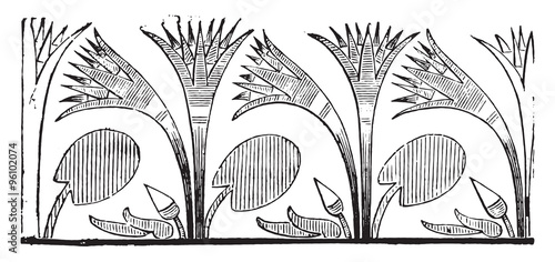 Papyrus, vintage engraving.